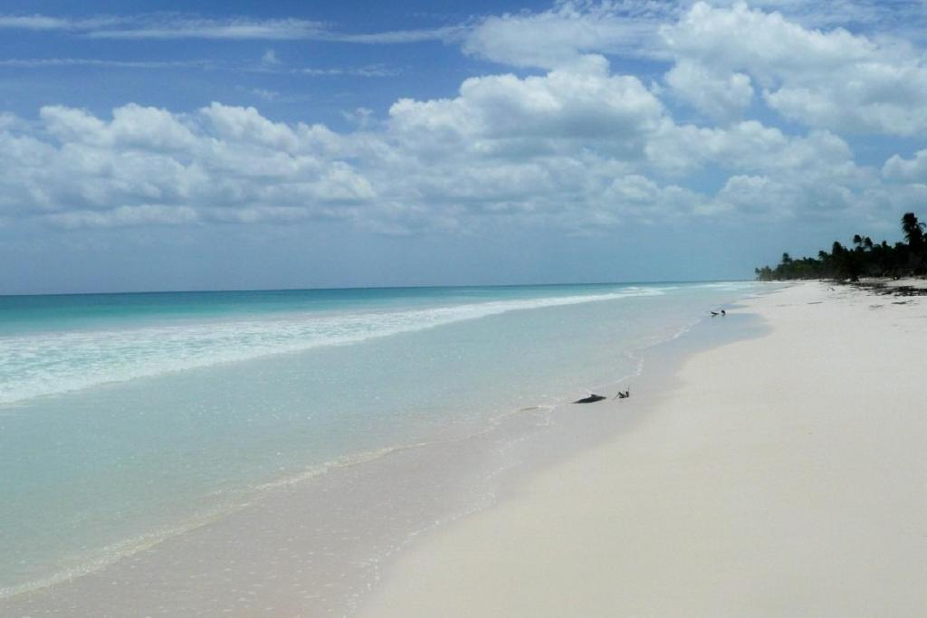 Casa Pelicanos Tulum Beach Mx - Next To Hotel Zone Exteriér fotografie